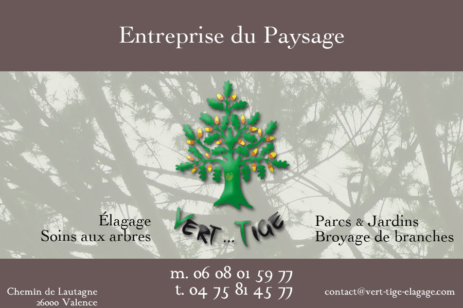 Vert Tige Élagage Parcs et jardins